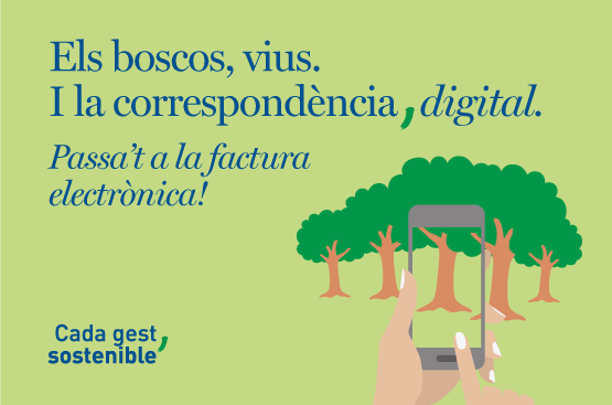bosque